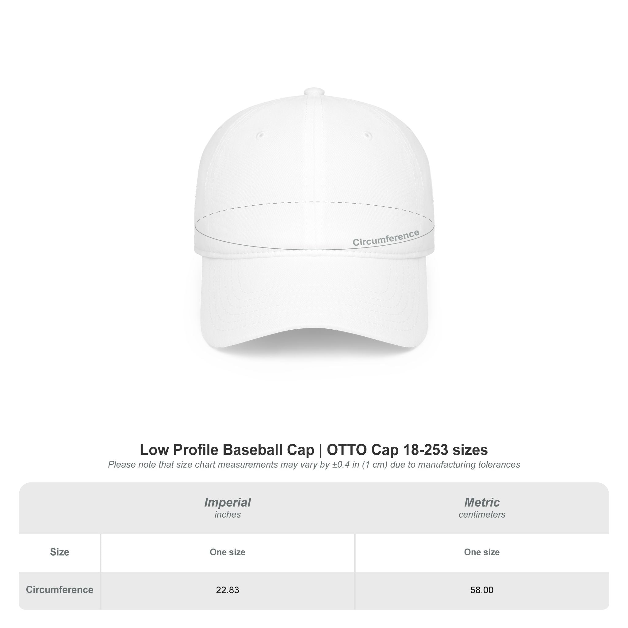 Pride Cap | Lethbridge Queerberta | PRIDE Embroidered Baseball Cap