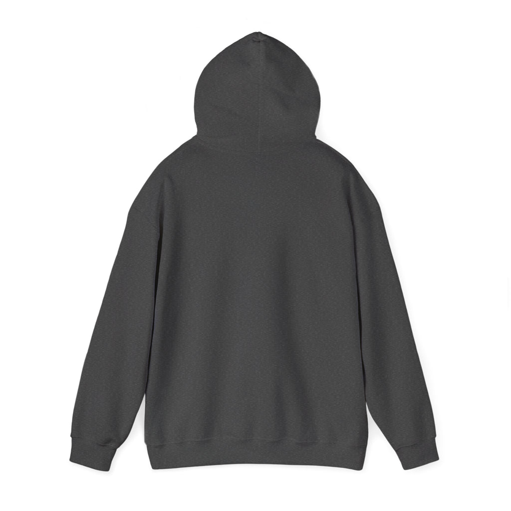 Pride Hoodie | Lethbridge Queerberta | LGBTQ+ Pride Pullover Hoodie