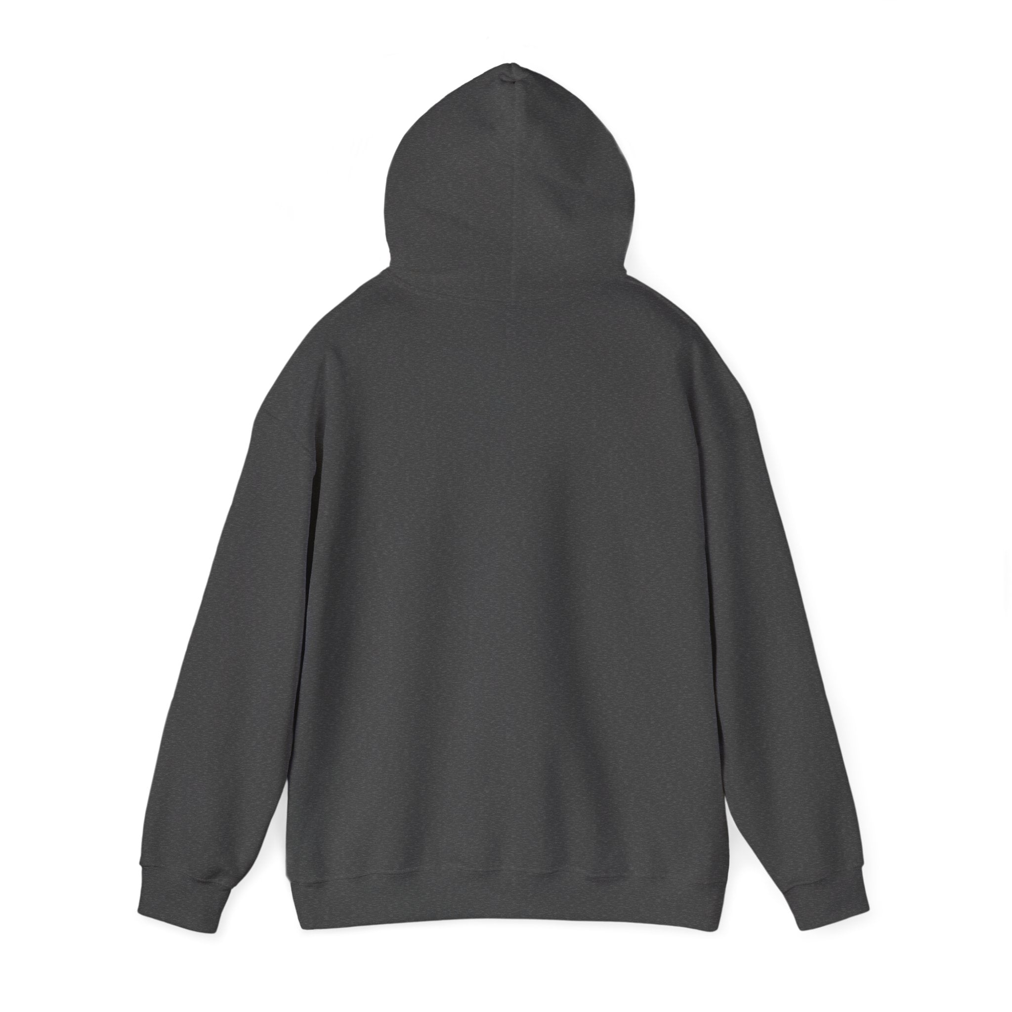 Pride Hoodie | Lethbridge Queerberta | LGBTQ+ Pride Pullover Hoodie